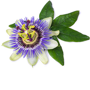 Passiflora Herbasol® Extract PG, unpreserved, system 3